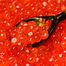 Caviar