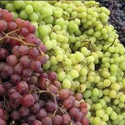 Grapes