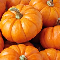 Pumpkins