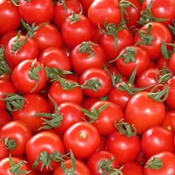 Red tomato